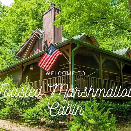 Pigeonforge Cabin Game Roomdog Friendlyhot Tub Pigeon Forge Exterior foto